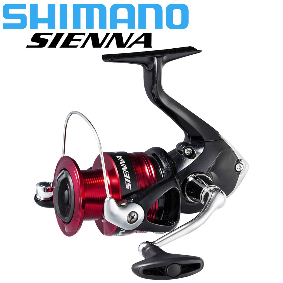 SHIMANO SIENNA Spinning Fishin - đánh giá và giá Daiwa Reel Bg